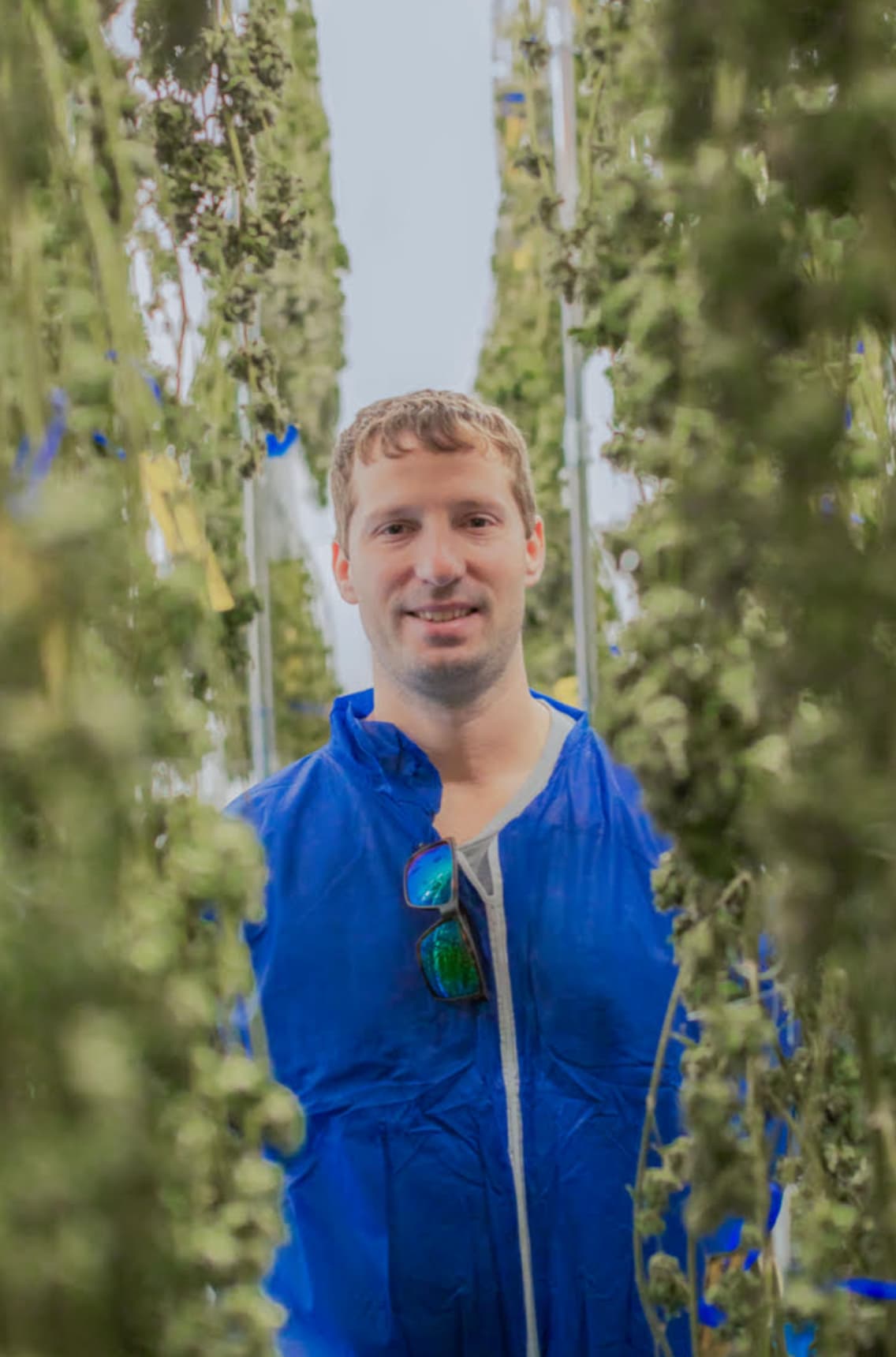 Brett Hahn in cannabis grow facility